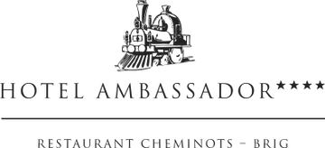 Hotel Ambassador Brig
